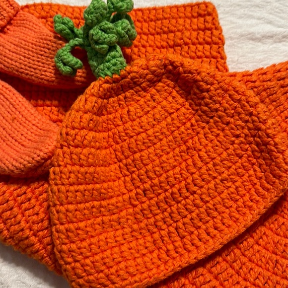 Princess Paradise Carrigan the Carrot Bunting Swaddle Infant Photography Easter - Picture 5 of 8